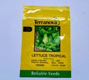 Seed Lettuce Tropical 5m 5000sds 6g Terranova