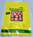 Seed Onion Gladalan Brwn 100g Terranova