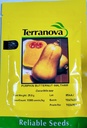 Seed Pumpkin B/Nut Waltham 25g Terranova