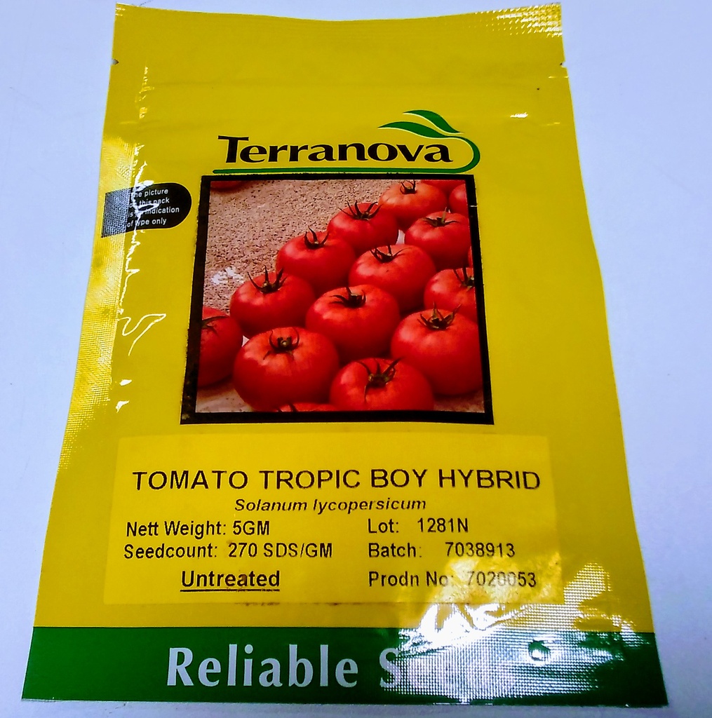 Seed Tomato Tropic Boy F1 5g Terranova