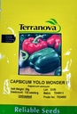 Seed Capsicum Yolo Wonder B 25G Terranova