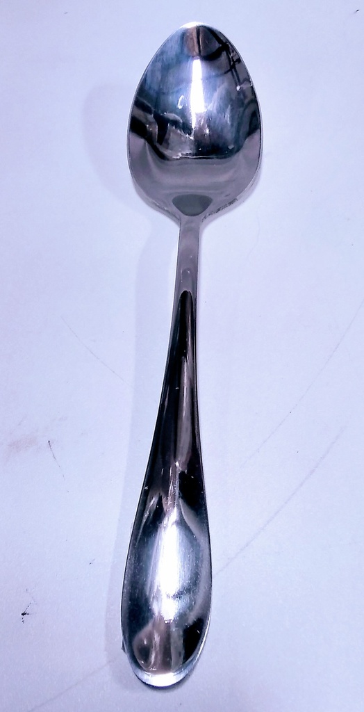 Kitchen S/S Table Spoon 69G