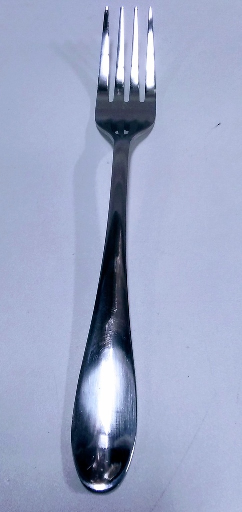 Kitchen S/S Table Fork 55G