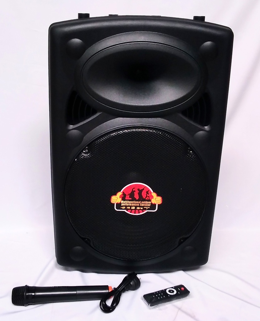 Speaker W-15-40W W/Wireless Mic