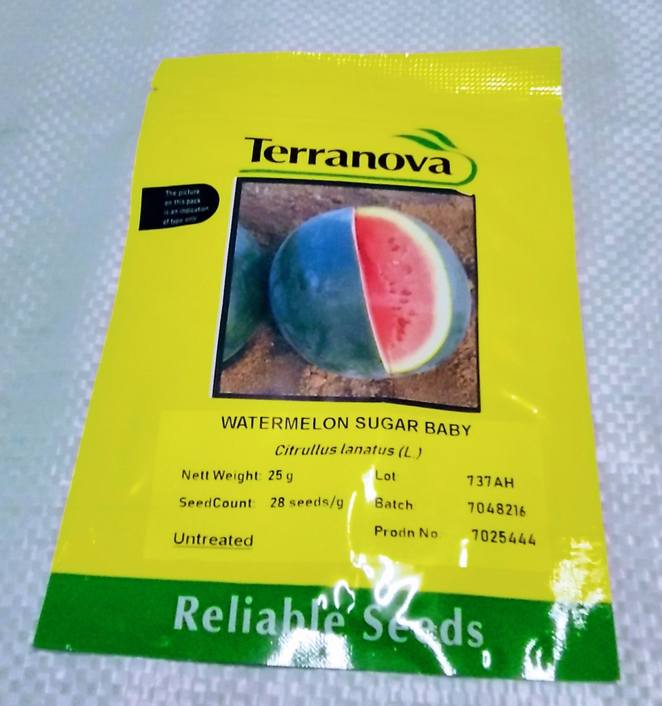 Seed Watermelon Sugar Baby 25g Terranova