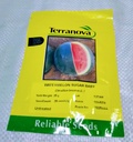 Seed Watermelon Sugar Baby 25g Terranova