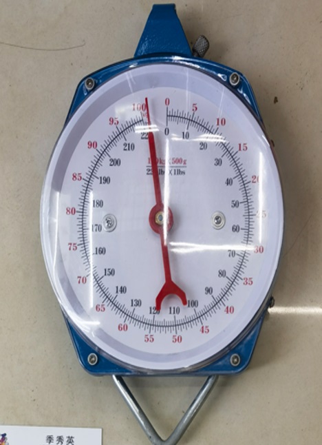 Scale Hanging 100kg