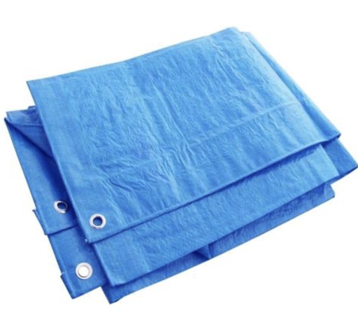 [PB0005] Tarpaulin Blue 30'X30' 110g