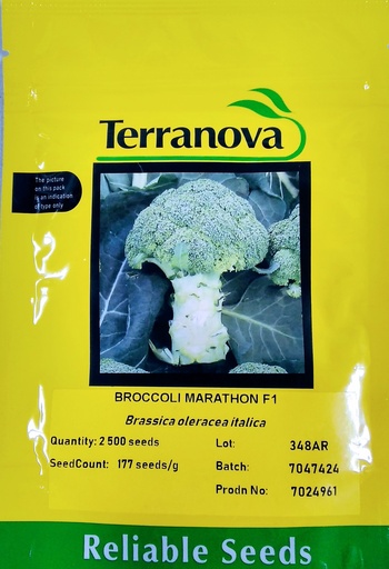 [SD0257] Seed Broccoli Marathon F1 2.5M 19g Terranova