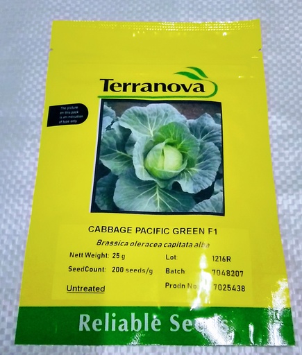 [SD0260] Seed Cabbage Pacific Green F1 25G Terranova