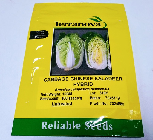 [SD0265] Seed Cabbage Chinese Saladeer F1 10G Terranova