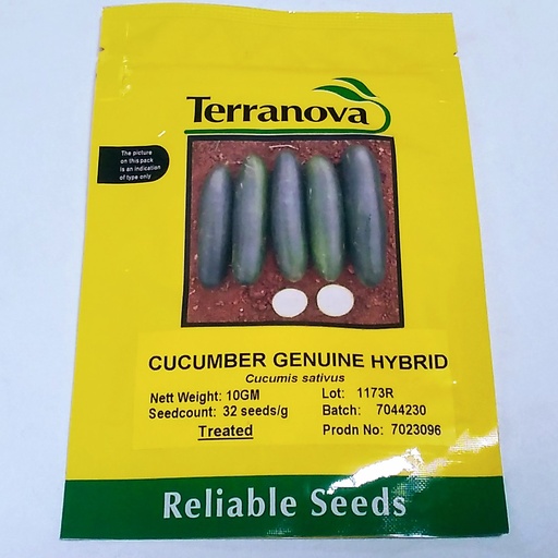 [SD0271] Seed Cucumber Genuine F1 10G Terranova