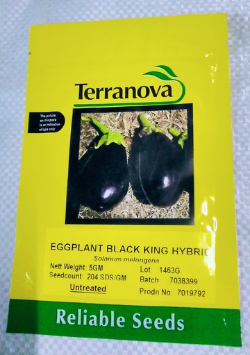 [SD0272] Seed Eggplant Black King F1 5G Terranova