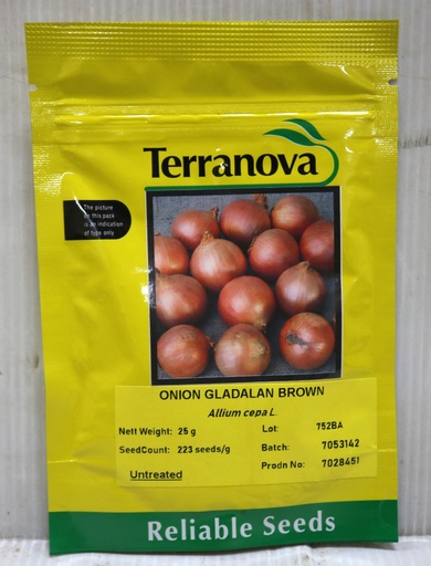 [SD0275] Seed Onion Gladalan Brwn 25g Terranova