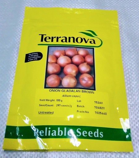 [SD0276] Seed Onion Gladalan Brwn 100g Terranova