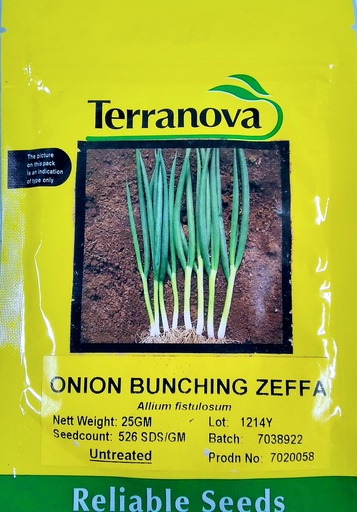 [SD0277] Seed Onion Zeffa 25g Terranova