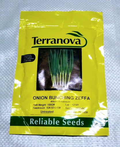 [SD0278] Seed Onion Zeffa 100g Terranova