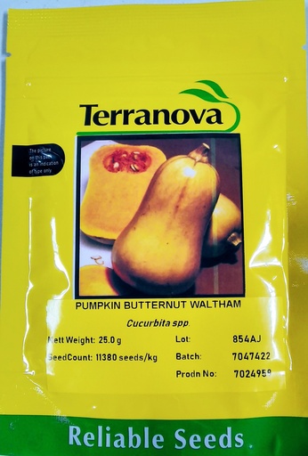 [SD0279] Seed Pumpkin B/Nut Waltham 25g Terranova