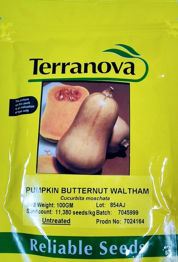 [SD0280] Seed Pumpkin B/Nut Waltham 100g Terranova