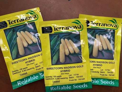 [SD0281] Seed Corn Sweet Madison Gold F1 1000sds 150g Terranova