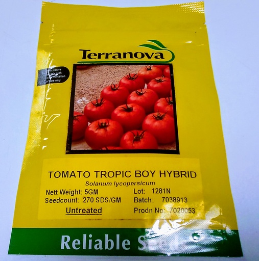 [SD0283] Seed Tomato Tropic Boy F1 5g Terranova
