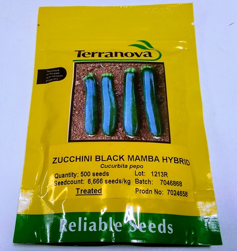 [SD0288] Seed Zucchini Black Mamba F1 500sds 7.5g Terranova