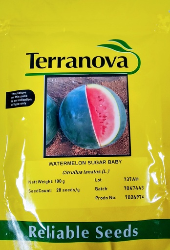[SD0291] Seed Watermelon Sugarbaby 100g Terranova