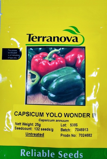 [SD0293] Seed Capsicum Yolo Wonder B 25G Terranova