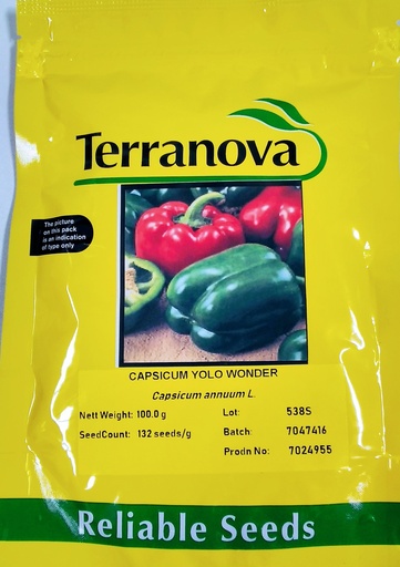 [SD0294] Seed Capsicum Yolo Wonder B 100G Terranova