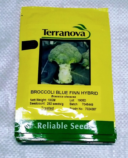 [SD0296] Seed Broccoli Blue Finn F1 10G Terranova
