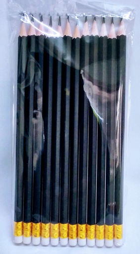 [ST1084] Pencil 12pk