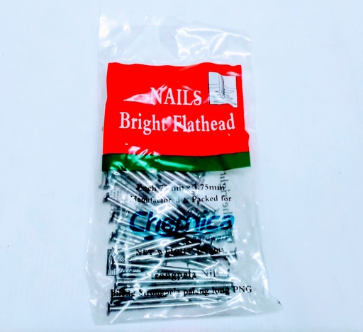 [WN0299] Nail F/Head Bright 3" 400g