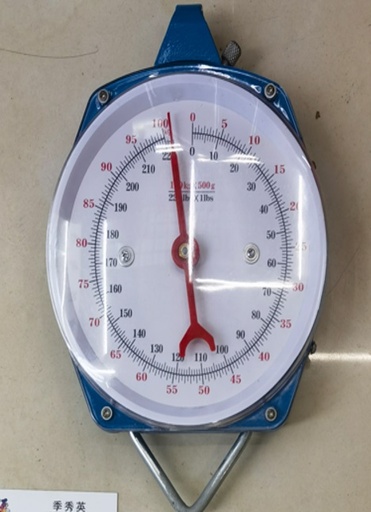 [MA0369] Scale Hanging 100kg