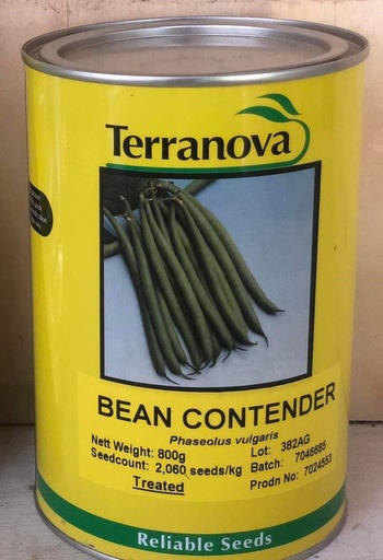 [SD0300] Seed Bean Contender 800g Terranova