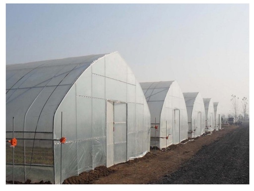 [PB1026] Greenhouse kit Drying Shed 200sqm