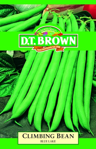[SD0303] Seed Bean Climbing BL 20g MFG2808