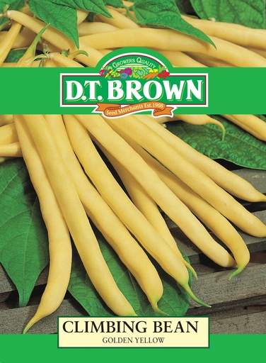 [SD0305] Seed Bean Climbing Gld Yel 20g MFG2307