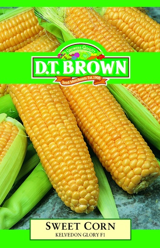 [SD0312] Seed CornSweet kelvedon 10g MFG2994