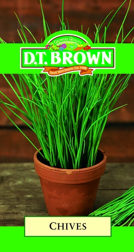 [SD0321] Seed Chives1.081g MFG2705