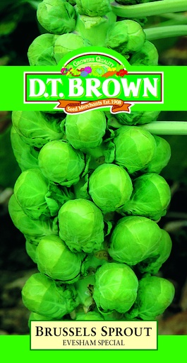 [SD0330] Seed Evesham Brussels Sprt 1.968g MFG2021