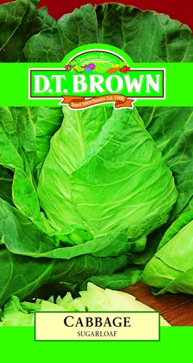 [SD0331] Seed Cabbage Sugarloaf 2.173g MFG2216