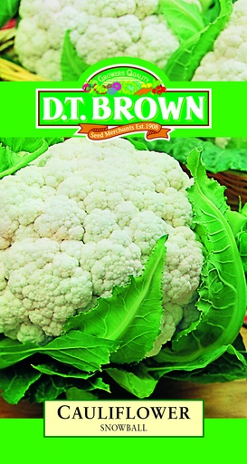 [SD0334] Seed Cauliflower Snow Ball 0.938g MFG2257
