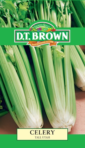 [SD0335] Seed Celery Tall Utah 0.1g MFG2305