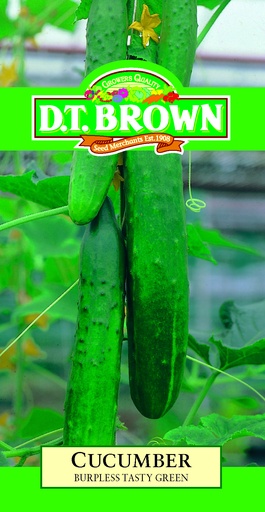 [SD0337] Seed Cucumber B/less Tasty 0.312g MFG2095