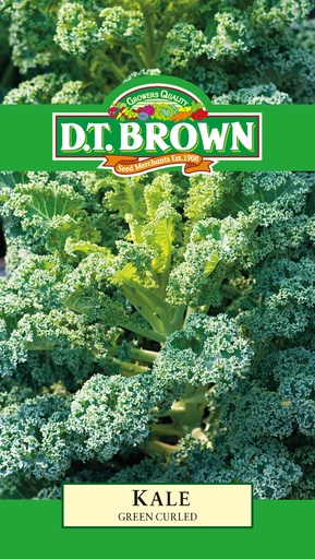 [SD0343] Seed Kale Dwarf Grn Curled 0.918g MFG2288