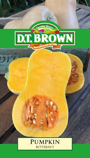 [SD0352] Seed Pumkin Butternut 2.825g MFG2233