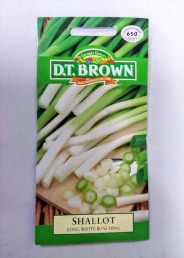 [SD0356] Seed Shallot Longwht Bunching 2.479g MFG2073