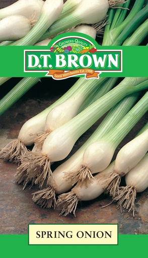 [SD0359] Seed Onion Spring 2.435g MFG2228