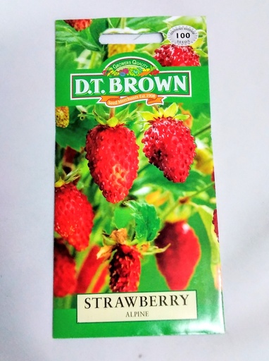 [SD0361] Seed Strawberry Alpine(Regina)0.041g MFG2308