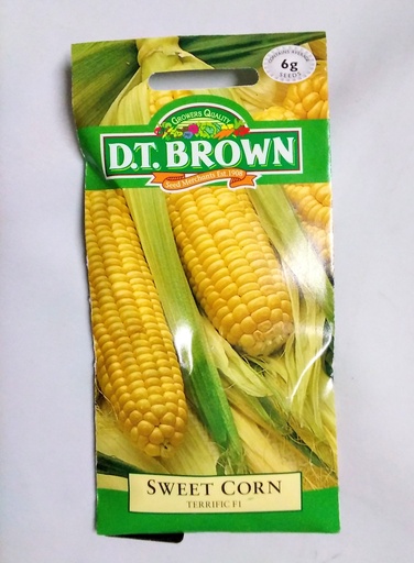 [SD0362] Seed Sweetcorn Terrific 6g MFG2243